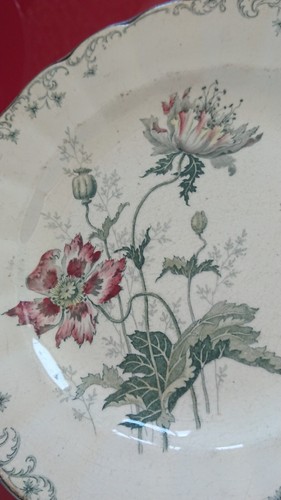 Assiette chauffante porcelaine - chauffante,
